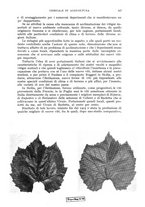 giornale/UM10003065/1941/unico/00000179