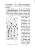 giornale/UM10003065/1941/unico/00000186