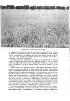 giornale/UM10003065/1941/unico/00000207