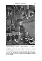 giornale/UM10003065/1941/unico/00000245