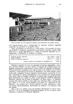 giornale/UM10003065/1941/unico/00000279