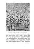 giornale/UM10003065/1941/unico/00000306