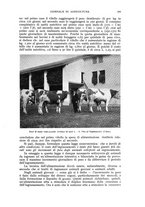 giornale/UM10003065/1941/unico/00000315