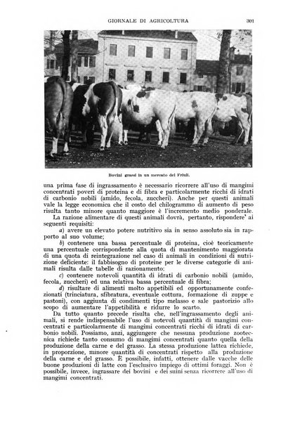 L'Italia agricola