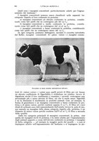 giornale/UM10003065/1941/unico/00000318