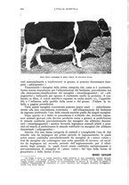 giornale/UM10003065/1941/unico/00000320