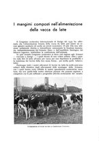 giornale/UM10003065/1941/unico/00000321