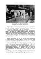 giornale/UM10003065/1941/unico/00000323