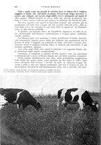 giornale/UM10003065/1941/unico/00000324