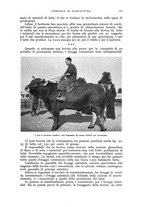 giornale/UM10003065/1941/unico/00000331