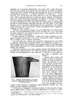 giornale/UM10003065/1941/unico/00000337