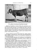 giornale/UM10003065/1941/unico/00000339