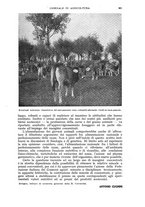 giornale/UM10003065/1941/unico/00000347