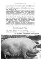 giornale/UM10003065/1941/unico/00000359