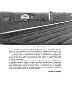 giornale/UM10003065/1941/unico/00000373