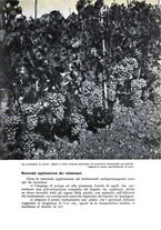 giornale/UM10003065/1941/unico/00000375