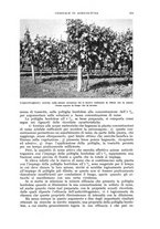 giornale/UM10003065/1941/unico/00000377