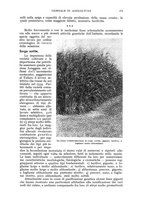 giornale/UM10003065/1941/unico/00000393