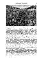 giornale/UM10003065/1942/unico/00000011