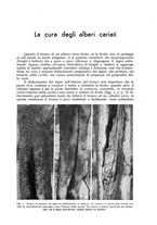 giornale/UM10003065/1942/unico/00000039