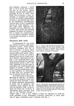 giornale/UM10003065/1942/unico/00000045