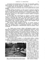 giornale/UM10003065/1942/unico/00000105