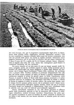 giornale/UM10003065/1942/unico/00000115
