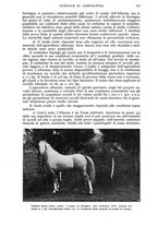 giornale/UM10003065/1942/unico/00000121