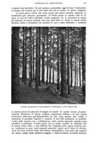 giornale/UM10003065/1942/unico/00000145