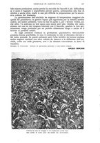 giornale/UM10003065/1942/unico/00000165