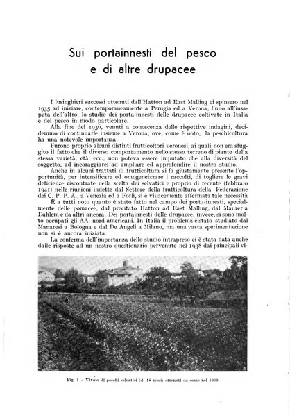 L'Italia agricola