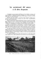 giornale/UM10003065/1942/unico/00000167