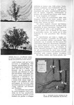 giornale/UM10003065/1942/unico/00000168