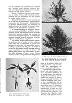 giornale/UM10003065/1942/unico/00000169