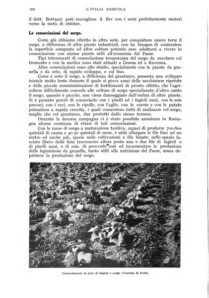 L'Italia agricola