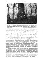 giornale/UM10003065/1942/unico/00000220
