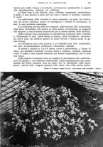 giornale/UM10003065/1942/unico/00000231