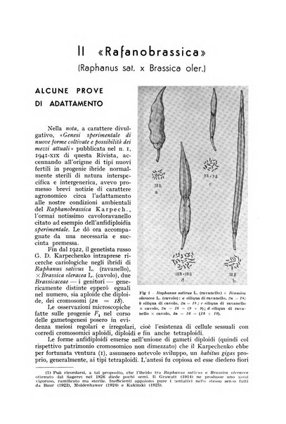 L'Italia agricola