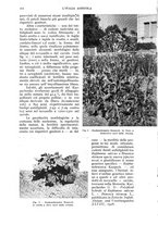 giornale/UM10003065/1942/unico/00000266