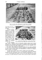 giornale/UM10003065/1942/unico/00000268