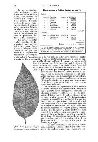 L'Italia agricola