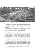 giornale/UM10003065/1942/unico/00000324