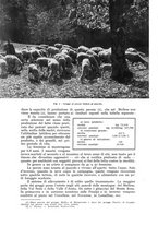 giornale/UM10003065/1942/unico/00000340