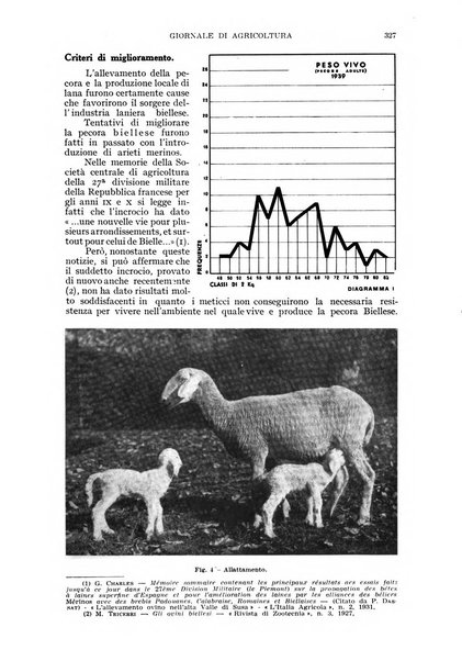 L'Italia agricola