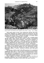 giornale/UM10003065/1942/unico/00000387