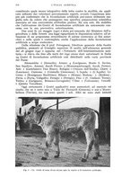 giornale/UM10003065/1942/unico/00000394