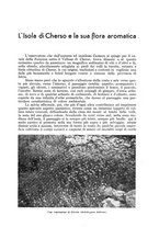 giornale/UM10003065/1942/unico/00000447