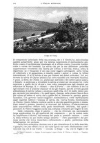 giornale/UM10003065/1942/unico/00000452