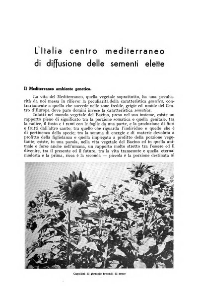 L'Italia agricola