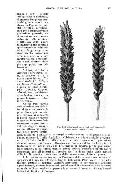 L'Italia agricola